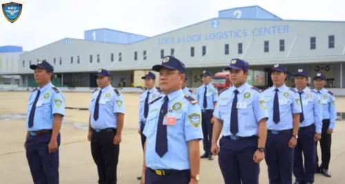 Công việc bảo về 1 nghề tử tế với giá trị bền vững